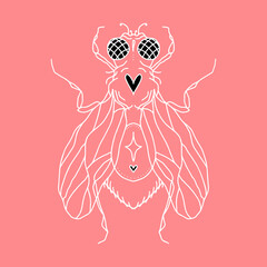 fly silhouette with hearts, eyes, wings, paws, dots and a star. Vector isolated hand drawing insect