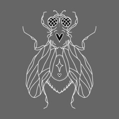 fly silhouette with hearts, eyes, wings, paws, dots and a star. Vector isolated hand drawing insect