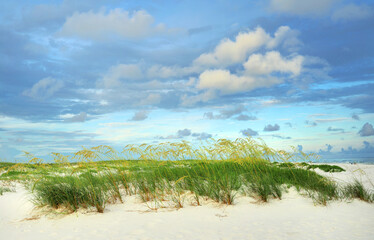 Beautiful White Sand Florida Beach with Sea Oats on a Cloudy Morning - 450570841