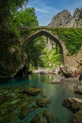 Fototapeta na wymiar bridge over the river in Ruta del Cares, León, Asturias