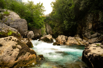 Naklejka na ściany i meble waterfall in the forest, Asturias, Spain