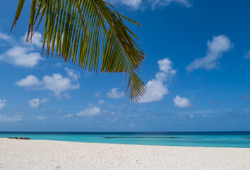 Tropical island with coconut palm trees on sandy beach. Maldives, Indian Ocean. Crossroads...