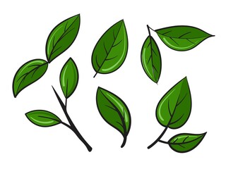 Set of green leaves with twigs in a cartoon style. Vector illustration.