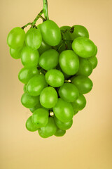 a bunch of ripe grapes, white filling, on a yellow background