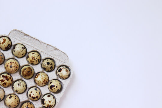 queil egg on a white background