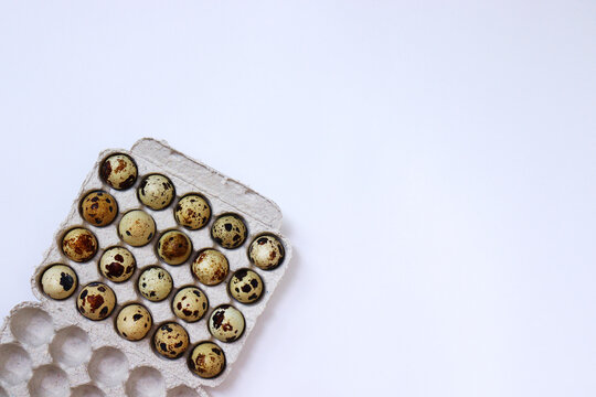 queil egg on a white background