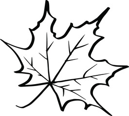vector autumn leaf autumn background