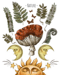 Vintage magic forest botanical illustration, witchcraft art, amanita mushroom - obrazy, fototapety, plakaty