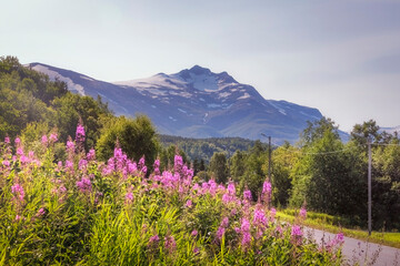 Høgtind med Gjeiterams horisontal