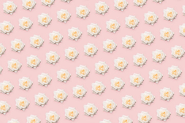 Floral white rose pattern