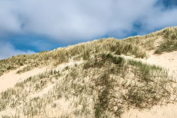 Foto op Plexiglas Dunes at the beach of Wijk aan Zee, Noord-Holland Province, The Netherlands © Holland-PhotostockNL