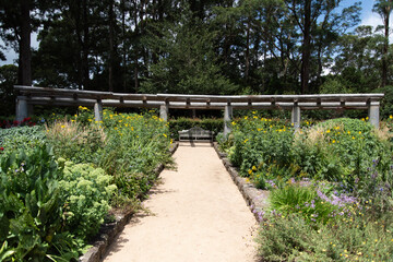bridge in the park