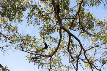 bird on tree