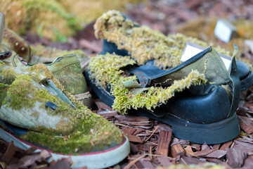 A pair of shoes lost in the woods covered with moss close up