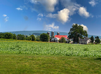 Fototapeta premium farm country