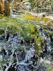 waterfall in the woods