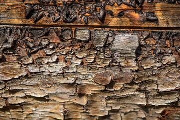 Wood background with faded color and cracked texture.