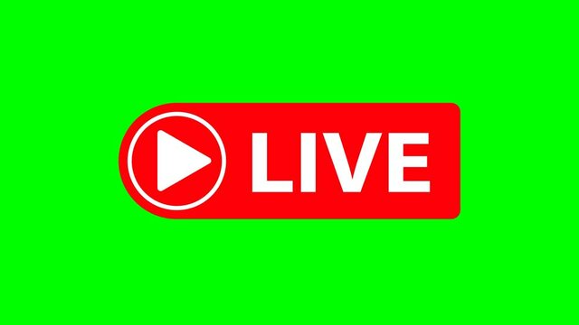 live red button. Live streaming animation on green background 4k video