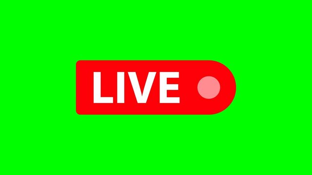 live red button. Live streaming animation on green background 4k video
