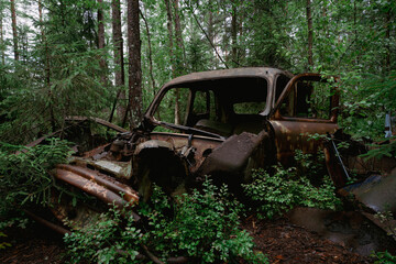 Old rusty car in a forest.