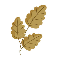 leaves greenery botanic