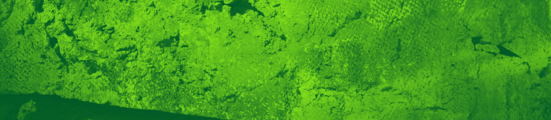 abstract green bright color background for design