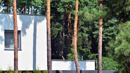 Eco architecture. Green trees and modern single family building in forest. The harmony of nature and modernity.