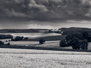 landscape in the morning