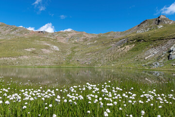 Alpe Lake - Santa Caterina Valfurva, Italy