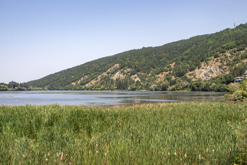 Fototapeta na wymiar Summer view of Pancharevo lake, Bulgaria