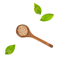 Organic quinoa seeds in wooden spoon - Chenopodium quinoa
