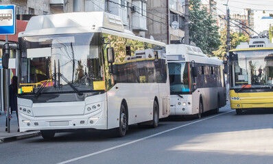 City shuttle buses at a stop on the street