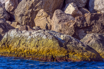 rocks and sea near Balaklava