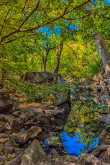 Alupkinsky Park (also known as Vorontsov Park)