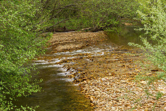 Detail of scree in river and willow trees on both banks