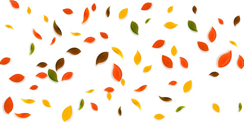 Falling autumn leaves. Red, yellow, green, brown c