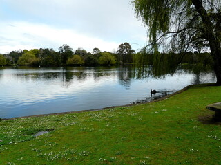 Scenic view in the park