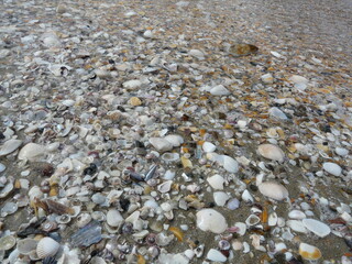 Beach texture