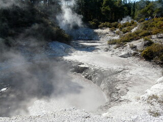 Geothermal activity in New Zealand