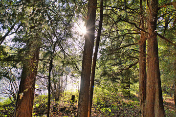 Sun rays are illuminating this scenery near Crystal Lake in the Catskill mountains in upstate, New York