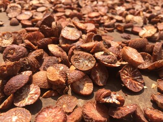 Sliced ​​betel nut that is being dried by the sun method