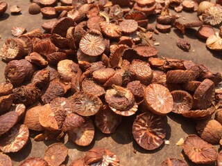 Sliced ​​betel nut that is being dried by the sun method
