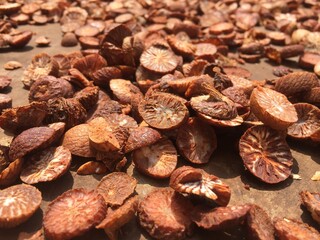 Sliced ​​betel nut that is being dried by the sun method