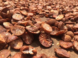 Sliced ​​betel nut that is being dried by the sun method