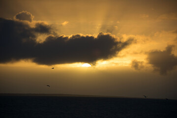 Naklejka premium sunset over the sea