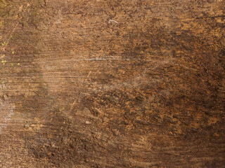 old wood background