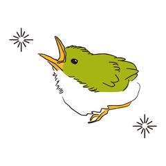 手書き線画カラーイラスト メジロの巣立ち中のヒナ