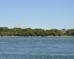 view on the sea and the forest