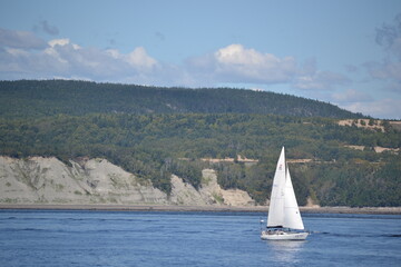 sailboat on the sea