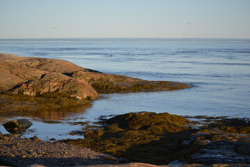 Obraz premium rocky coast of the sea